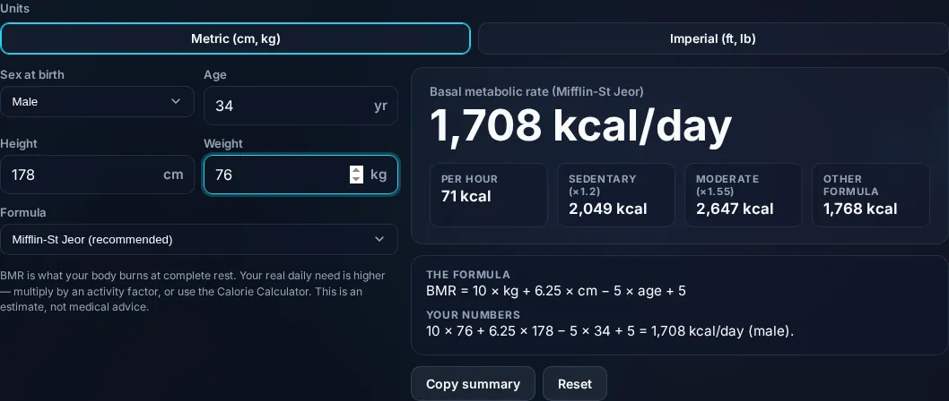 BMR Calculator showing basal metabolic rate in the browser.